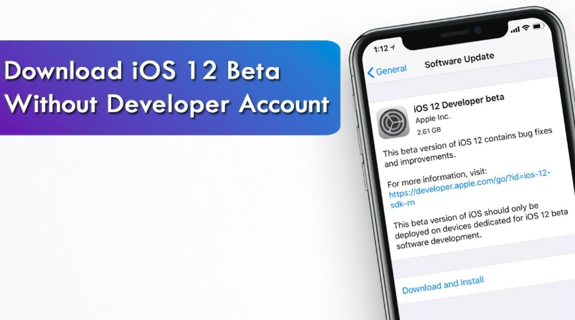 beta profile ios 12 download